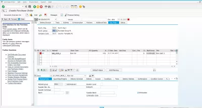 ME21N ustvari naročilo za nakup v SAP : Izbira organizacijskih glavnih podatkov za ustvarjanje naročilnice v naročilnici SAP s kodo ME21N