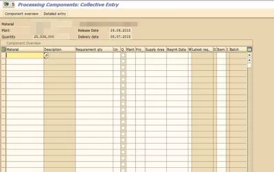 Nu este posibil să se determine toate componentele SAP : Comenzi de comandă care nu procesează componente