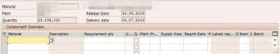 Not possible to determine any components SAP : Bill of material not exploded