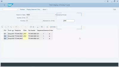 Purchasing organization in SAP explained: creation, assignment, tables : Purchasing group SAP table T024