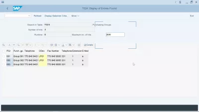 أوضحت منظمة المشتريات في SAP: الإنشاء ، التعيين ، الجداول : مجموعة المشتريات جدول SAP T024