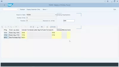 Purchasing organization in SAP explained: creation, assignment, tables : Purchasing organization SAP table T024E