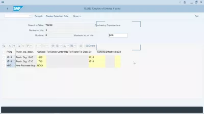 Ipinaliwanag ng pagbili ng samahan sa SAP: paglikha, pagtatalaga, talahanayan : SAP talahanayan ng pagbili ng pagbili T024E