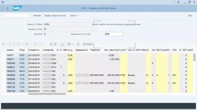 Purchasing organization in SAP explained: creation, assignment, tables : SAP table vendor purchase organization displayed in SE16N