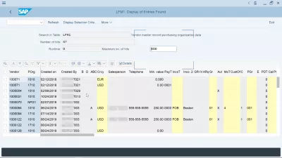 Spiegazione dell'organizzazione acquisti in SAP: creazione, assegnazione, tabelle : Organizzazione di acquisto del fornitore di tabelle SAP visualizzata in SE16N