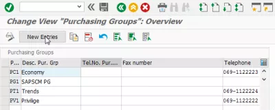 Purchasing group in SAP : New Entries button in the purchasing groups overview