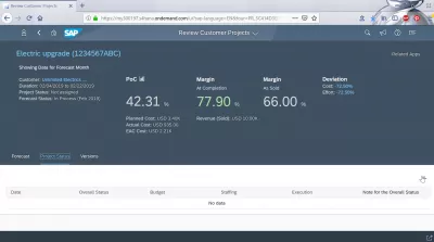 Hvordan gjennomgå kundeprosjekter i SAP Cloud og FIORI-appen? : Prosjektstatusdetaljer