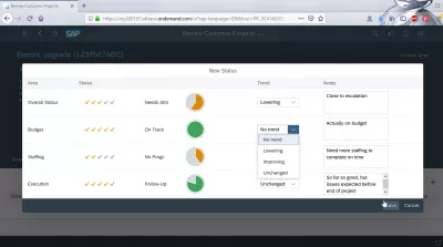 How to review customer projects in SAP Cloud and FIORI app? : Adding new status to overall status, budget, staffing and execution