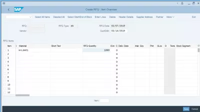 Request for quotation: Create easily an RFQ in SAP using ME41 : Create RFQ: item overview item entry