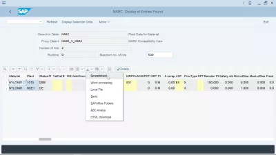 SAP Kako Izvesti U Excel Tablicu? : SAP podaci izvoze u Excel opciju