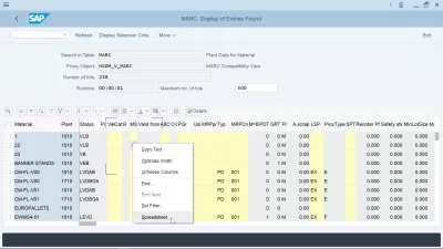 SAP Come Esportare In Un Foglio Di Calcolo Excel? : Formato di modifica del foglio di calcolo di esportazione SAP: fare clic con il pulsante destro del mouse su un report, selezionare l'opzione foglio di calcolo per modificare il formato di esportazione predefinito