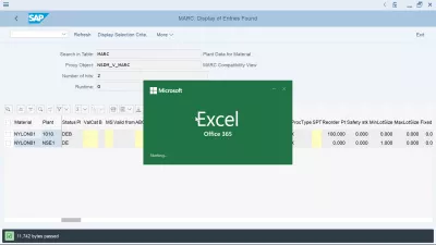 SAP How To Export To Excel Spreadsheet? : Data export being opened in Excel Office 365