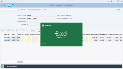 SAP Kako Izvesti U Excel Tablicu? : Izvoz podataka se otvara u programu Excel Office 365