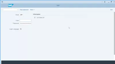 SAP कार्यान्वयन कदम : एसएपी कार्यान्वयन चरणों के बाद परियोजना का कार्यान्वयन