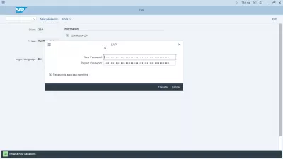 SAP password policy: how to manage it securely? : User self request to change password in SAP interface