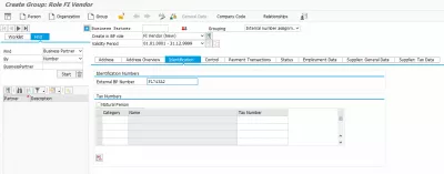 Как создать делового партнера в SAP S/4HANA : Идентификационные данные поставщика