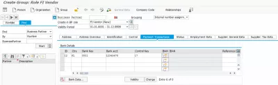 Hvordan opprette forretningspartner i SAP S/4HANA : Betalingstransaksjonsdetaljer for forretningspartner