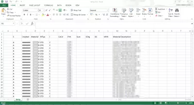 Comment exporter un rapport SAP vers Excel en 3 étapes faciles? : Export SAP pour exceller