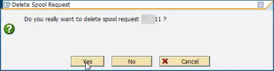 How to export SAP report to Excel in 3 easy steps? : Delete spool request confirmation pop-up