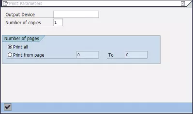 Come esportare report SAP in Excel in 3 semplici passaggi? : Stampa i parametri