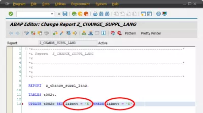 लॉगिन के बाद एसएपी इंटरफ़ेस की एसएपी परिवर्तन भाषा : ABAP भाषा सेट करें