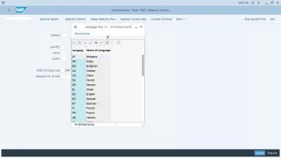 SAP Change De Langue De L'interface SAP Après La Connexion : Touches de langue SAP affichées dans l'aide d'entrée T002