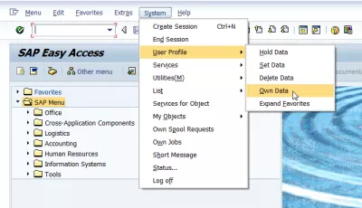SAP Change Language Of The SAP Interface After Login : SAP GUI language settings