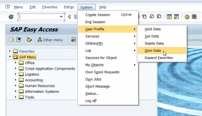 SAP เปลี่ยนภาษาของ SAP Interface หลังจากเข้าสู่ระบบ : การตั้งค่าภาษา SAP GUI