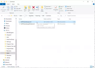 Where Is Saplogon.Ini File Stored In Windows 10? : SAP servers list location in Widows 10 for SAP 750 installation: file SAP UI landscape XML