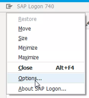 விண்டோஸ் 10 இல் Saplogon.Ini கோப்பு எங்கே சேமிக்கப்படுகிறது? : SAP Logon திறந்த விருப்பங்கள்… SAP 740 இல் SAPlogon.ini க்கான மெனு