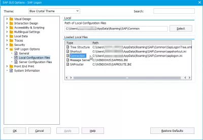 Où Le Fichier Saplogon.Ini Est-Il Stocké Dans Windows 10? : Emplacement des fichiers de configuration locaux SAP pour SAPlogon.ini dans SAP 740