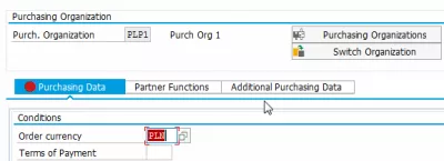 SAP Acquisto Info Record Fornitore non ancora creato dall'organizzazione acquistabile : Registrazione dettagli acquisto