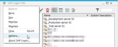 SAP Inogadzirisa Manzwiro : SAP Logon options menu