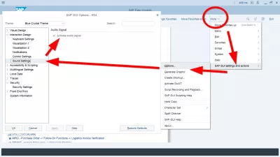 SAP Désactive Les Effets Sonores : Comment couper le son SAP dans SAP 750 GUI Paramètres