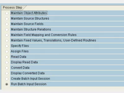 Pianificazione batch SAP LSMW : Fig 1: registrazione input batch