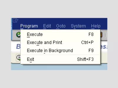 SAP LSMW programare lot