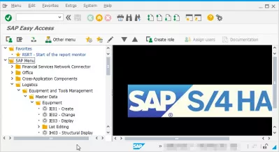 Display technical names in SAP