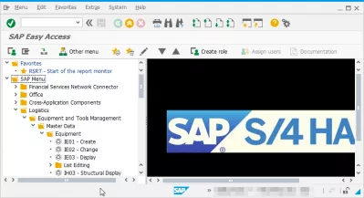 Просмотр технических названий в SAP