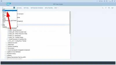 Afficher les noms techniques dans SAP : Noms techniques SAP affichés dans le menu SAP et transaction MIGO accessible dans la liste des dernières transactions