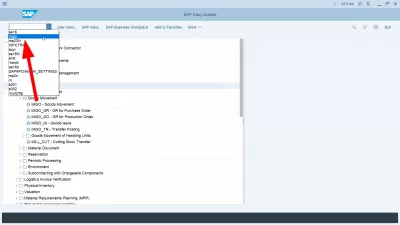 Mostra noms tècnics a SAP : Noms tècnics SAP que es mostren al menú SAP i la transacció Migo accessible a la llista de les últimes transaccions