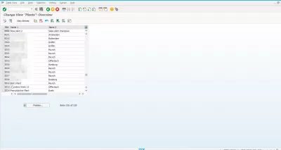 Вирішити заводський календар випуску в SAP не існує : Рослини, що змінюються, переглядають рослини