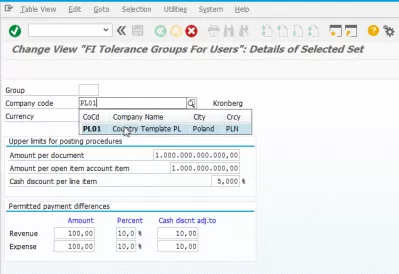SAP FICO: How To Solve Error F5155 No Amount Authorization? : Setting up tolerance groups for FI users
