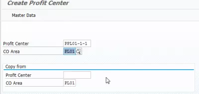 Profit center does not exist for date SAP : Profit Center creation main screen 