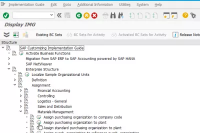 SAP கொள்முதல் அமைப்பை ஆலைக்கு பொறுப்பற்ற முறையில் எவ்வாறு தீர்க்க வேண்டும் : SPRO இல் ஆலை ஒதுக்கீடு செய்ய நிறுவனத்தை வாங்குதல்