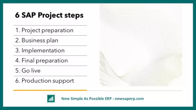 Successful SAP Project Management: 6 Steps