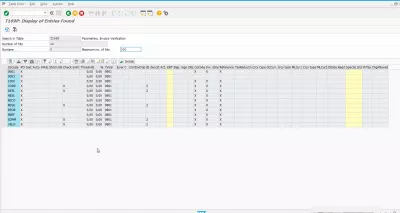 Table T169P: entry does not exist : Display of entries found in table T169P parameters, invoice verification