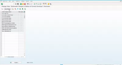 Table T169P: entry does not exist : New entry button in automatic change in status of correct invoices transaction