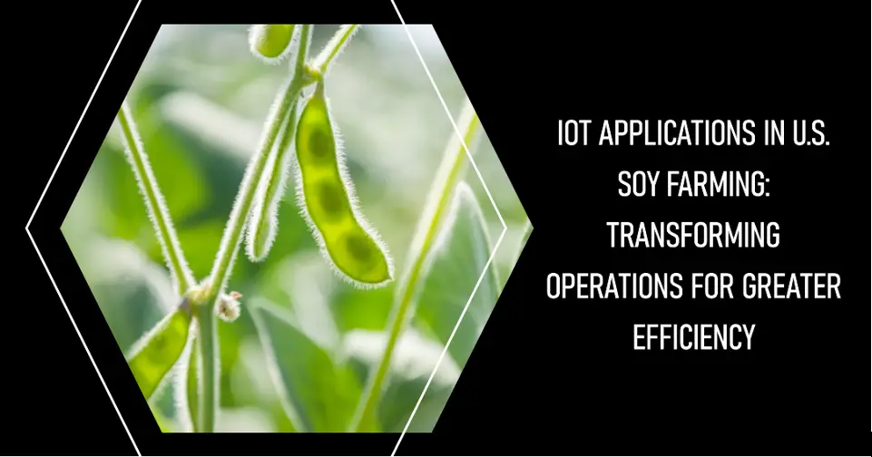IoT Applications in U.S. Soy Farming: Transforming Operations for Greater Efficiency