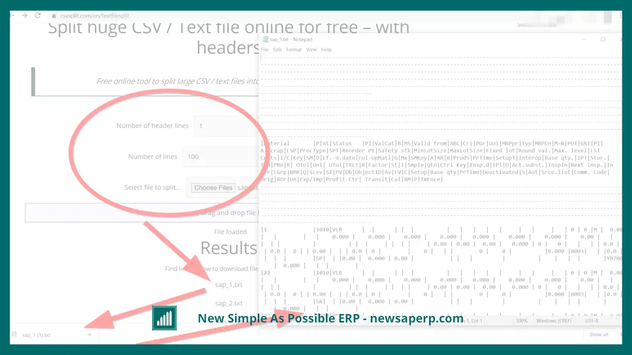 SAP GUI Graphical User Interface - Categories - New Simple As Possible ERP